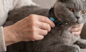 🐶🔥 Double-Sided Pet Hair Remover – Say Goodbye to Hair Everywhere! (🔥 Today Only: 80% OFF) 🐾