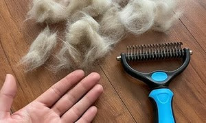 🐶🔥 Double-Sided Pet Hair Remover – Say Goodbye to Hair Everywhere! (🔥 Today Only: 80% OFF) 🐾