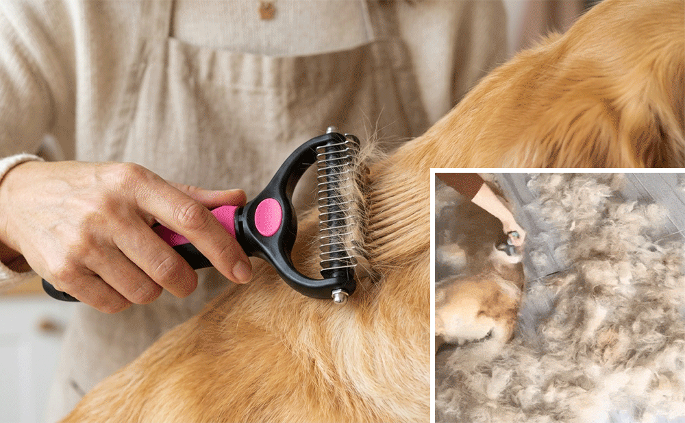 🐶🔥 Double-Sided Pet Hair Remover – Say Goodbye to Hair Everywhere! (🔥 Today Only: 80% OFF) 🐾