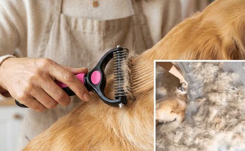 🐶🔥 Double-Sided Pet Hair Remover – Say Goodbye to Hair Everywhere! (🔥 Today Only: 80% OFF) 🐾